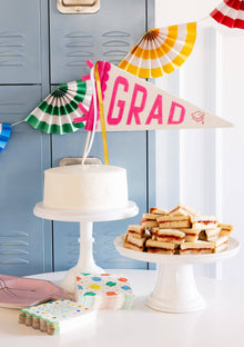 Pink Grad Felt Pennant Banner