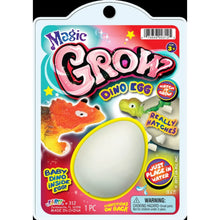 Magic Grow Dino Egg, Assorted