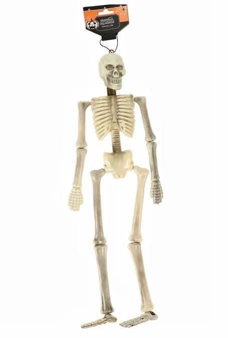 Medium Hanging Skeleton