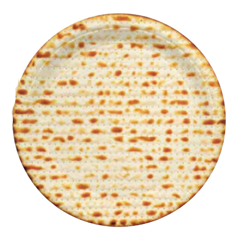 Passover Matzah 9ini Plates 8ct