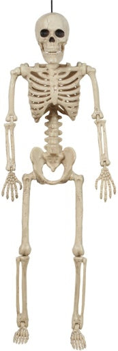 Hanging Skeleton 15.5in